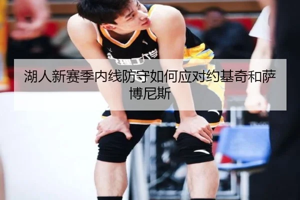 湖人新赛季内线防守如何应对约基奇和萨博尼斯